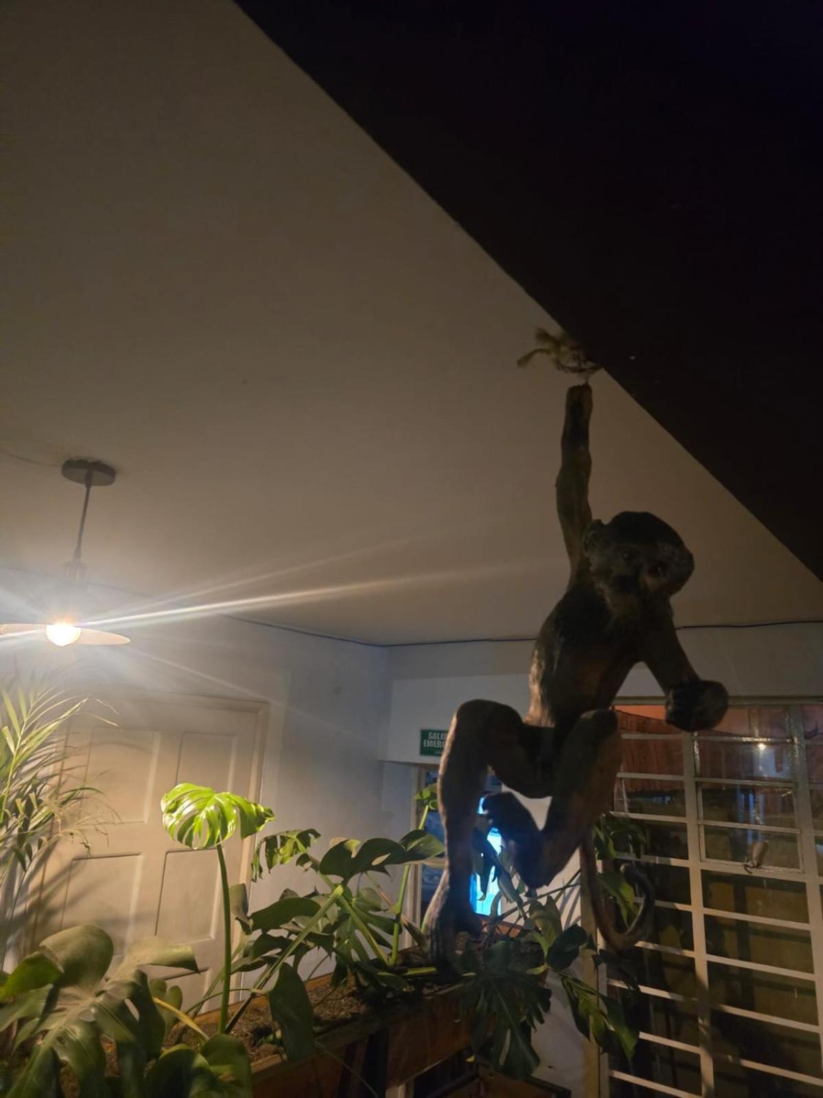 Portelli Hostal Zona G- Para Extranjeros Bogotá Eksteriør billede